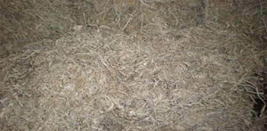 Silk Waste